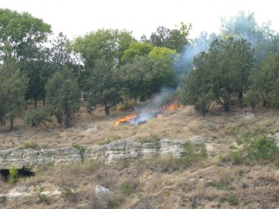 fire.JPG