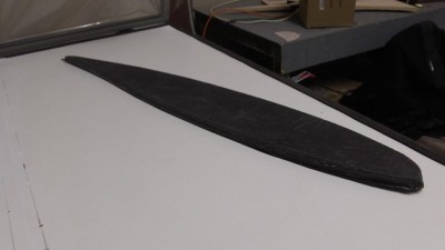 RibWeight_05.jpg