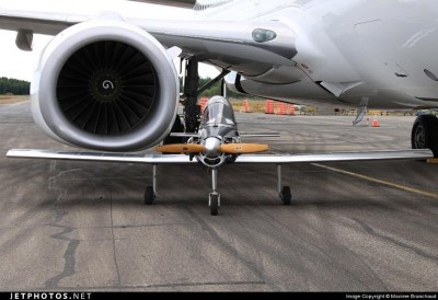 Hummelbird8.jpg