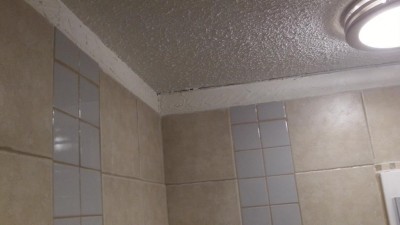 ShowerProject_70.jpg