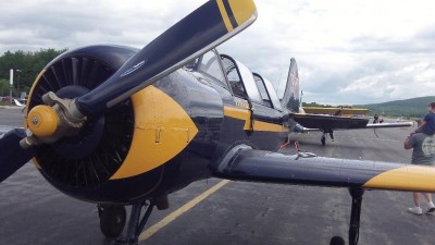 YAK_52_02.jpg
