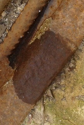 20180707_111828.jpg