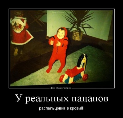 2803120941464649.jpg