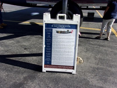 WingsOfFreedom_07.jpg