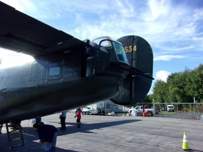 WingsOfFreedom_15.jpg