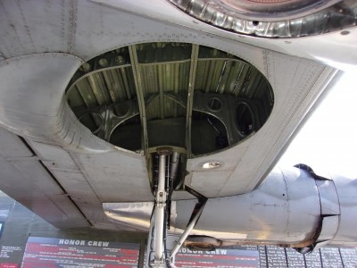 WingsOfFreedom_11.jpg
