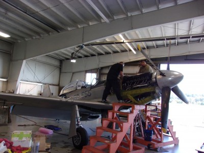 WingsOfFreedom_19.jpg