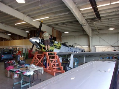 WingsOfFreedom_18.jpg