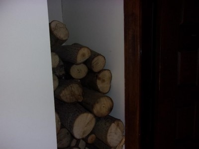 Winter_2018_02.jpg