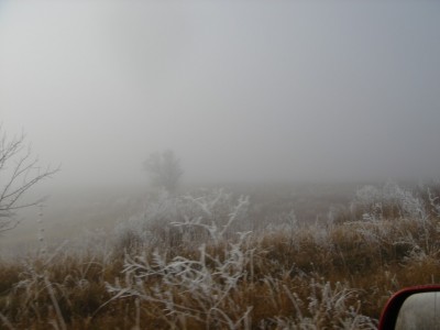 webDSC01053.jpg