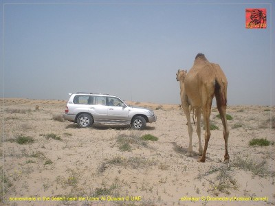 001-camel trophy-1.JPG