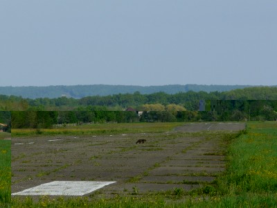 РП-косов.jpg