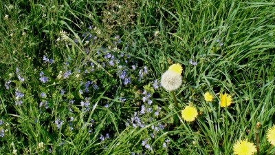 DSC00794.JPG