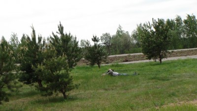 DSC00864.JPG