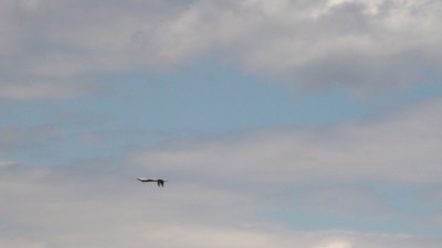DSC01734.JPG