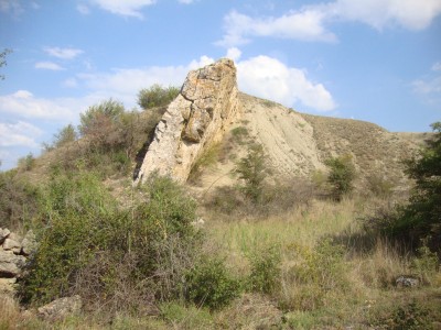 DSC07630.JPG