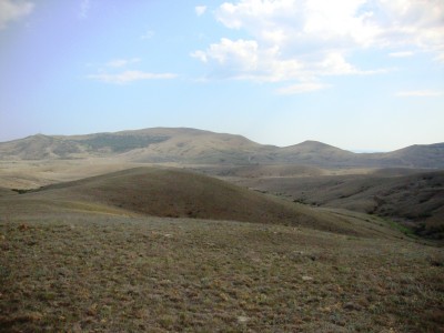 DSC07626.JPG