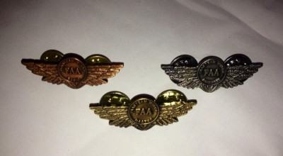 FAA_wings.jpeg