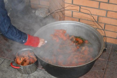 Raki_1.jpg