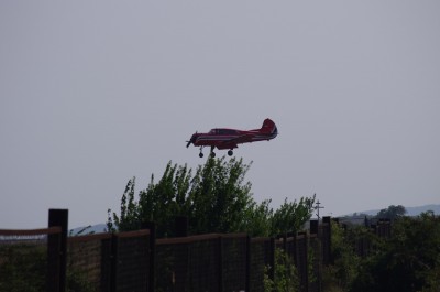 IMGP5447.jpg